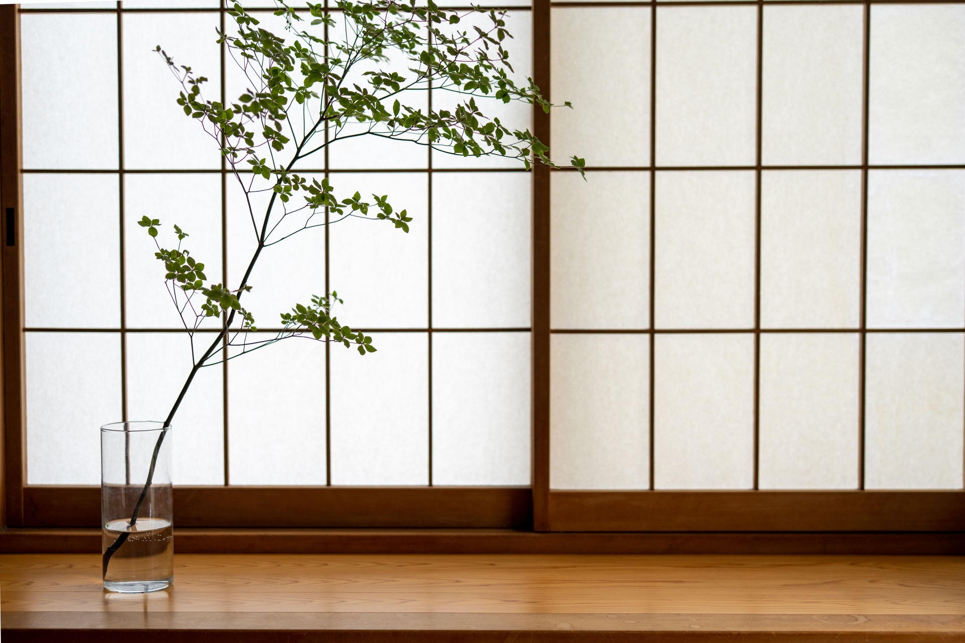 障子の種類と素材の違いを解説｜和紙・樹脂・強化タイプの特徴のアイキャッチ